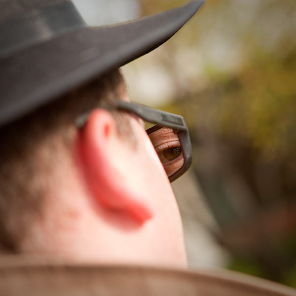 Rear View Mirror Shades