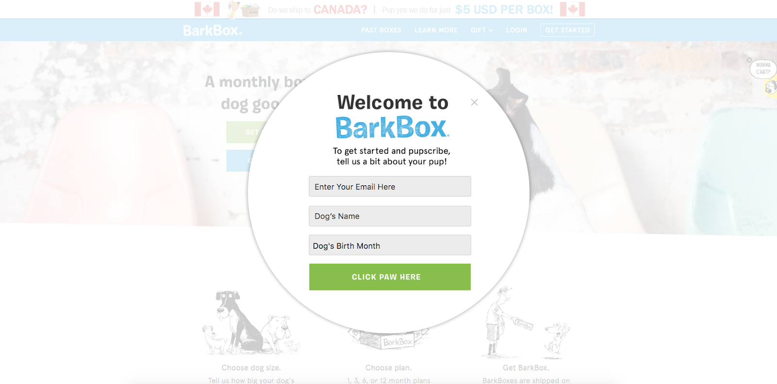 barkbox popup
