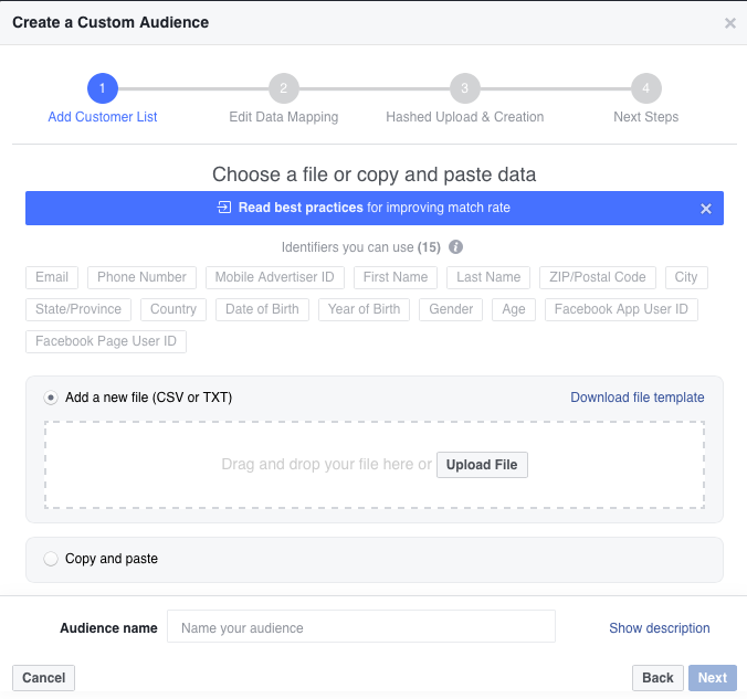 Create custom audience from customer file