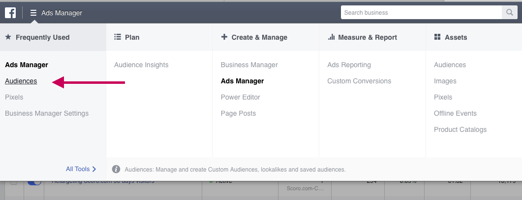 Facebook audiences 1
