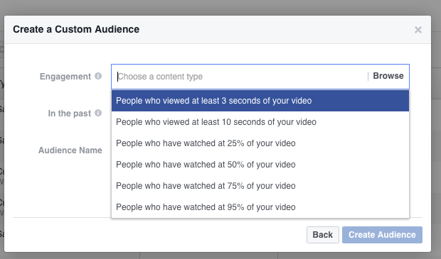 custom audience of vide viewers