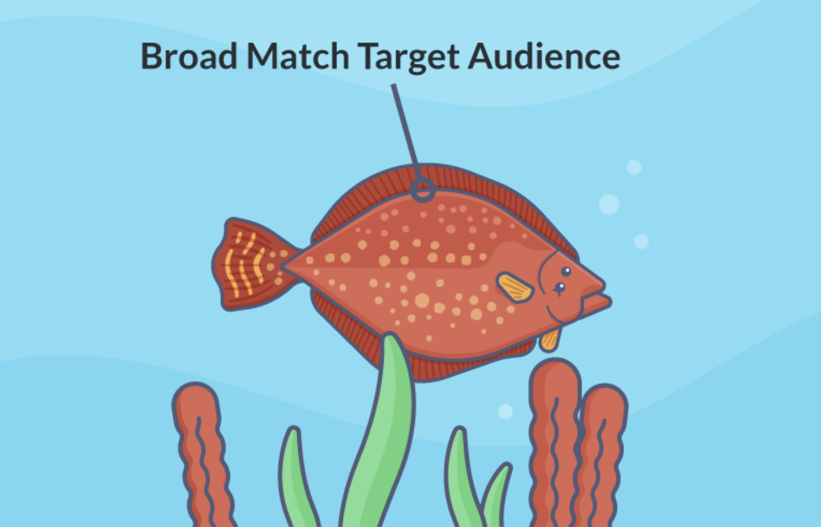 blog post image bottom feeding approach img8 - the broad match target audience bottom feeding flounder