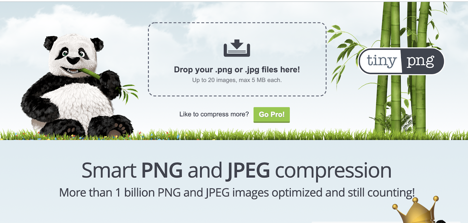 landing page optimization - tinypng