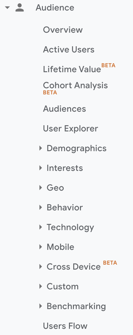 Google Analytics audience