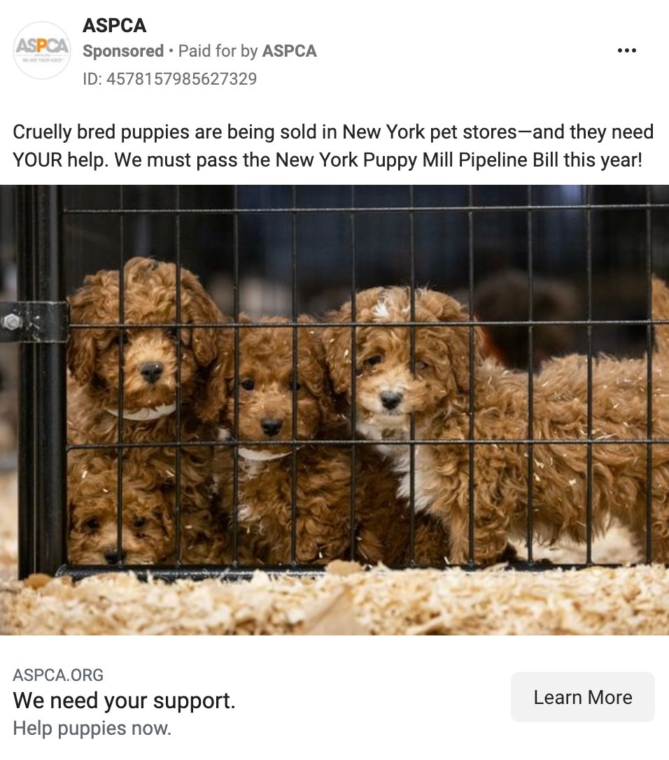 ASPCA facebook ad