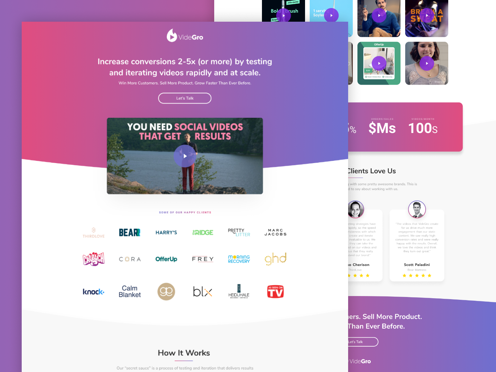 Videgro landing page