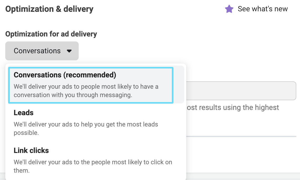 Optimizing ad delivery for conversations