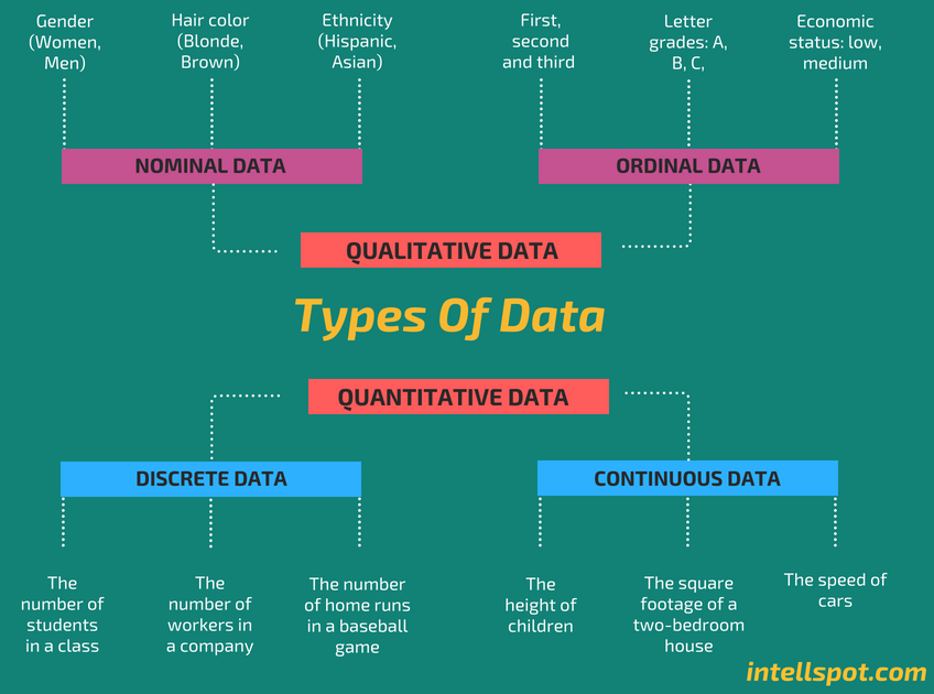 Qualitative and Quantitative data