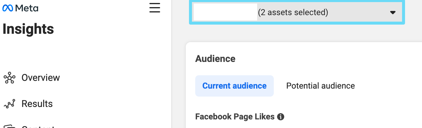 Select assets within Facebook Insights
