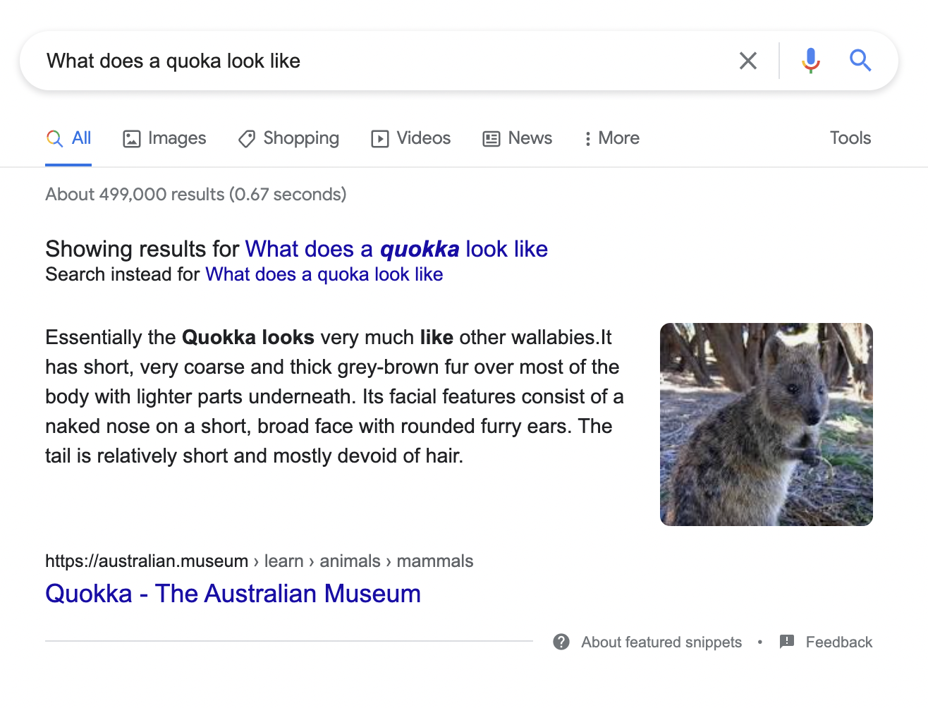 featured snippet 