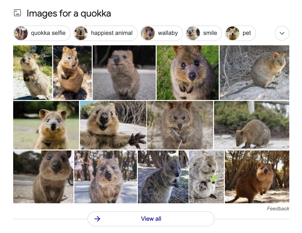 Google’s image pack