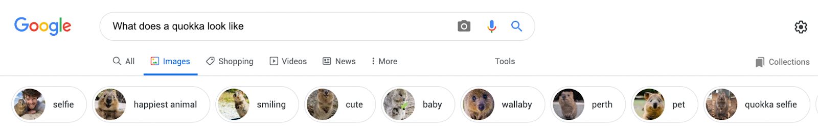 Google Images sort options