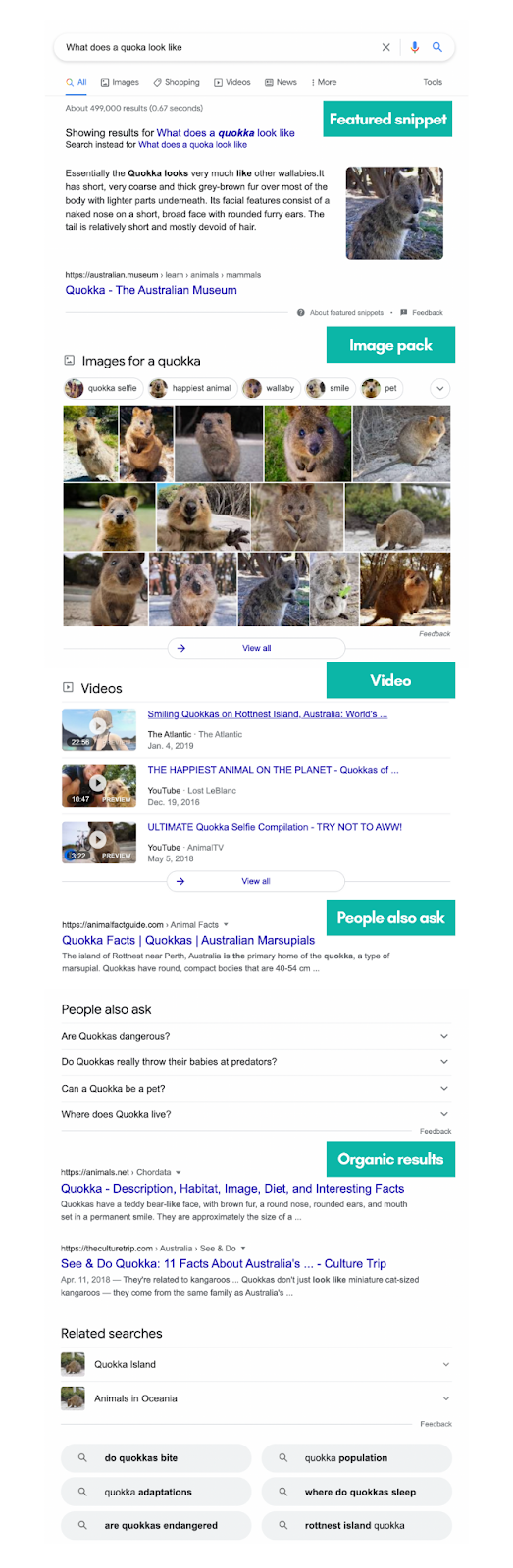 Standard SERP page