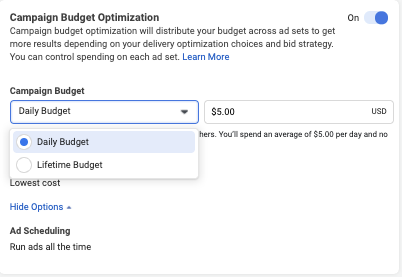facebook ad budget type of ad budget