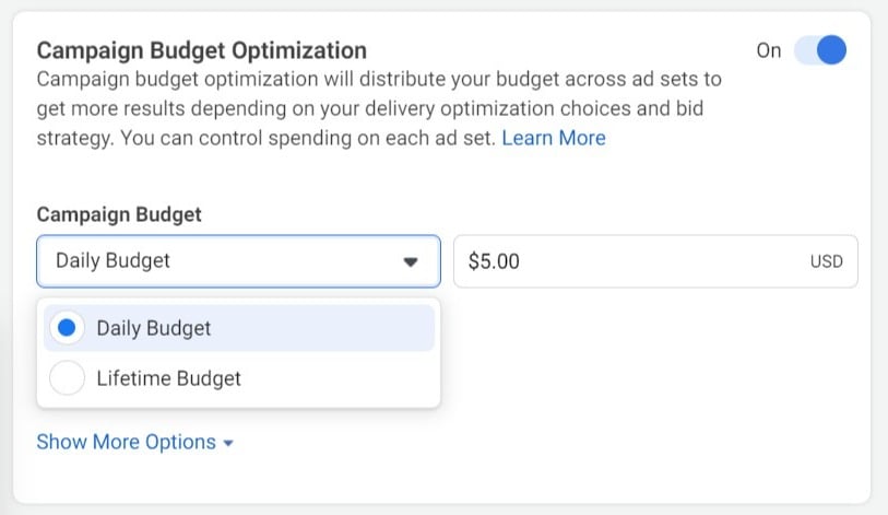 campaign budget optimization daily or lifetime budget