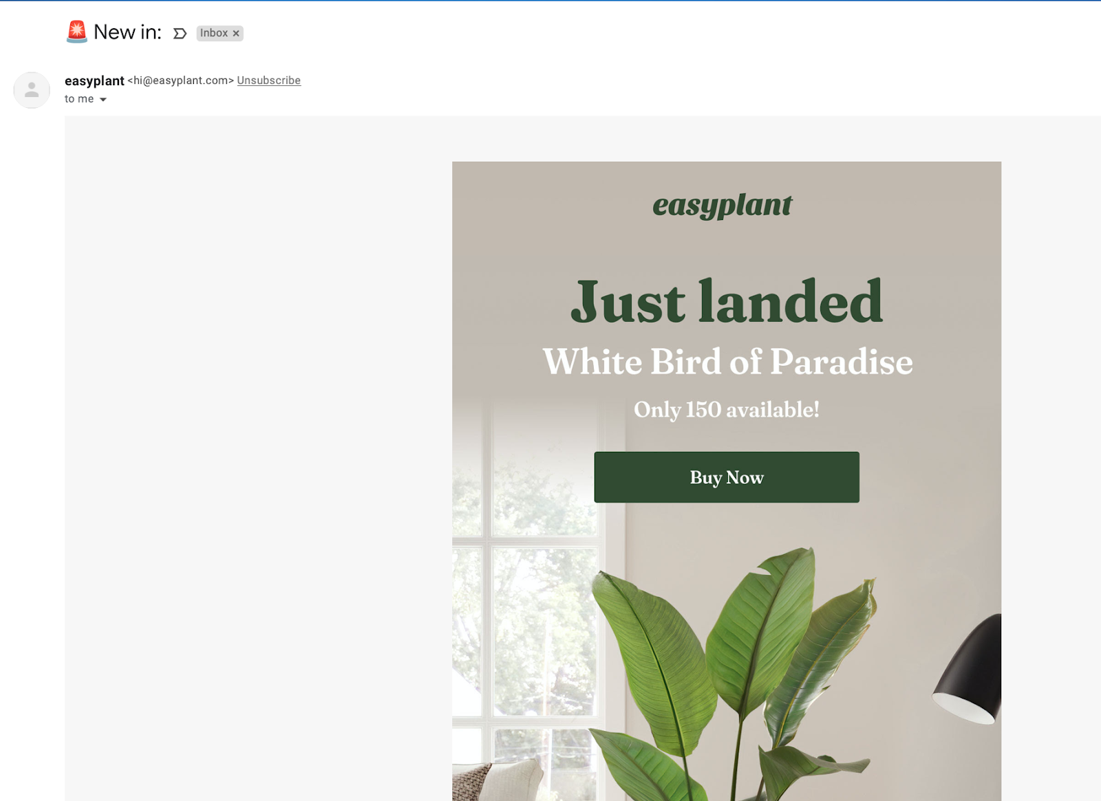easyplant email example
