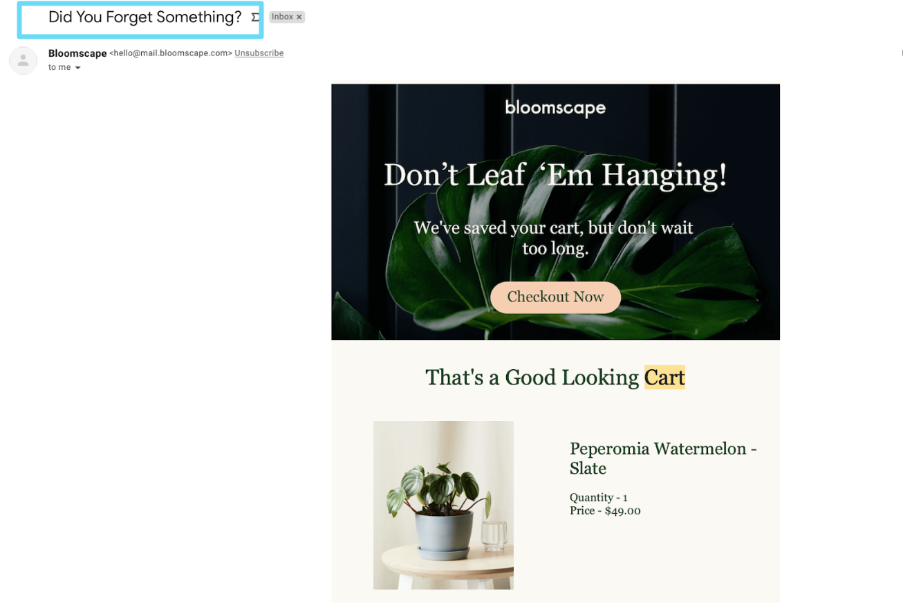 Bloomscape email marketing