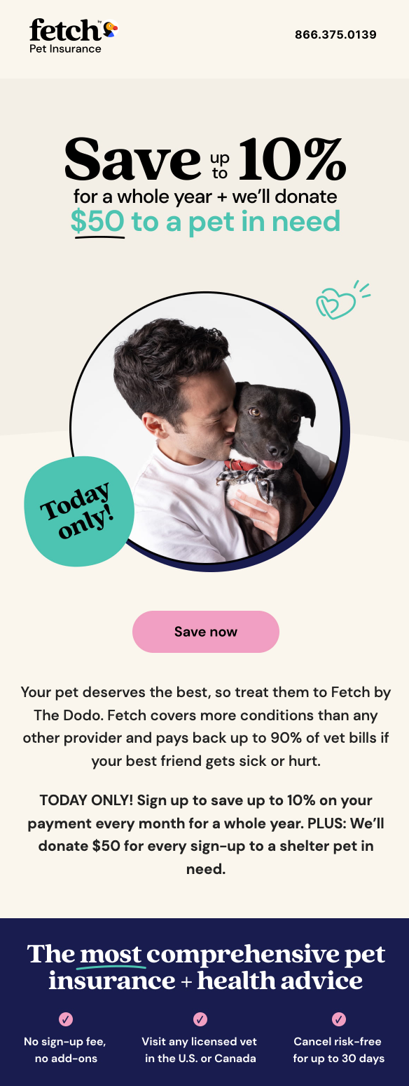 Fetch promotional email example