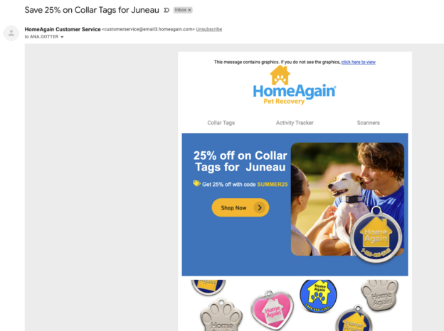 HomeAgain email copywriting example